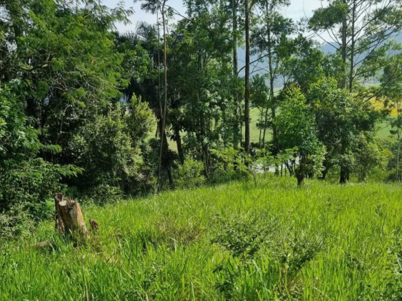Sítio na área rural de Camboriú – SC