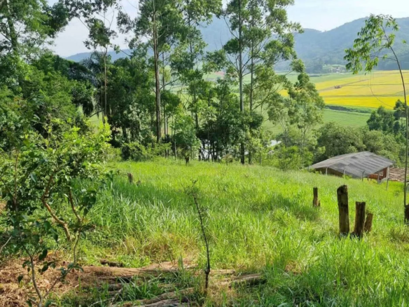 Sítio na área rural de Camboriú – SC